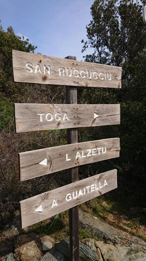 Appartamento A Tana di a Volpe Ville-di-Pietrabugno Esterno foto