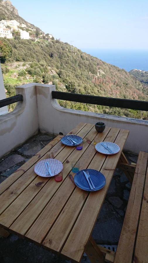 Appartamento A Tana di a Volpe Ville-di-Pietrabugno Esterno foto