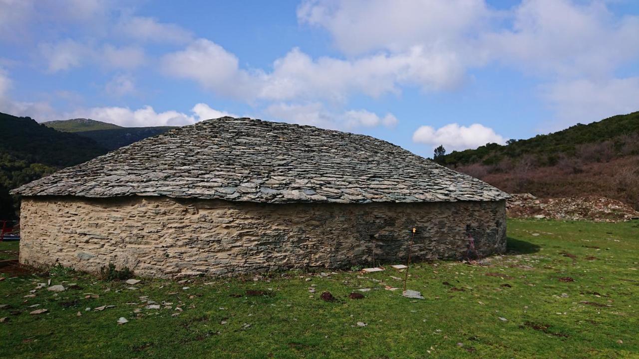 Appartamento A Tana di a Volpe Ville-di-Pietrabugno Esterno foto