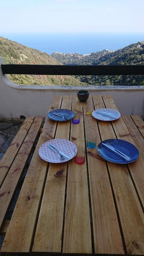 Appartamento A Tana di a Volpe Ville-di-Pietrabugno Esterno foto