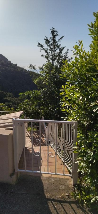 Appartamento A Tana di a Volpe Ville-di-Pietrabugno Esterno foto